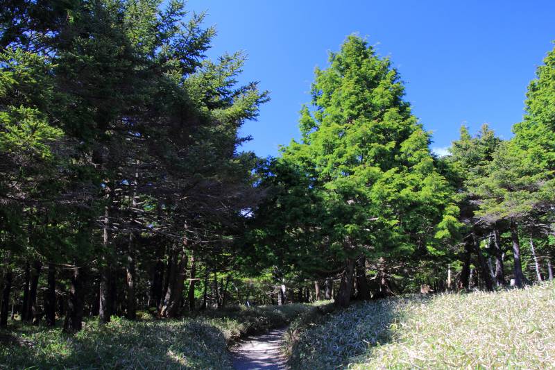 大台ケ原_004.jpg