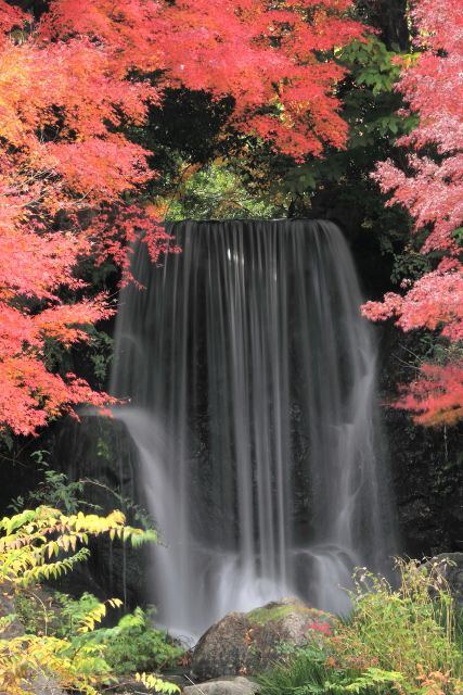 万博記念公園_005-01.jpg