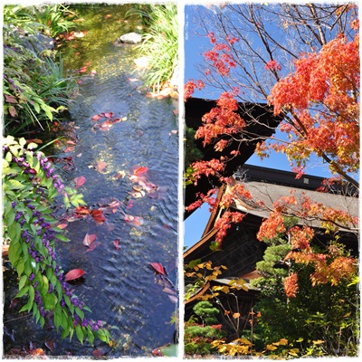 紅葉2枚