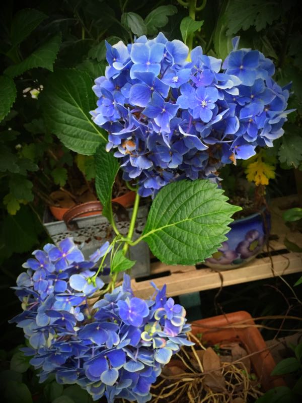 rblog-20160630184836-04.jpg