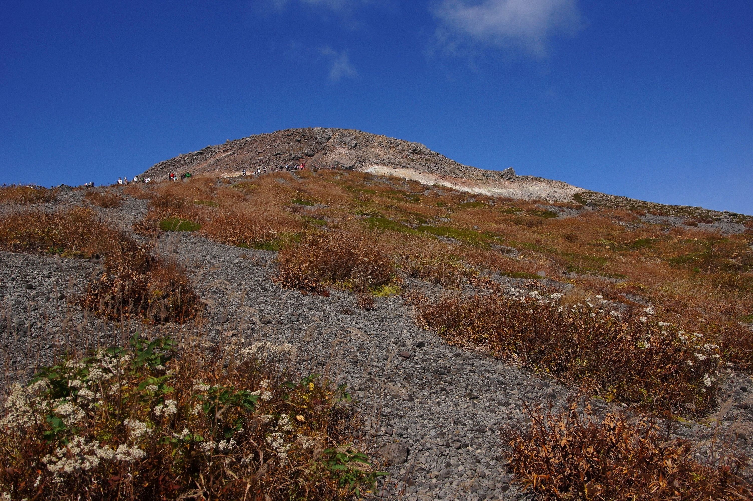 征露岳南武鑑 上 黒檜岳 (くろびだけ)：1,976m - 山と溪谷オンライン
