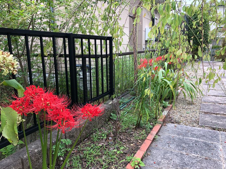 rblog-20180924170755-01.jpg