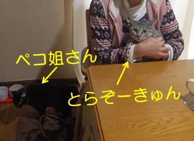 20121106_4.jpg
