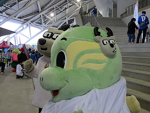 IMG_2252.jpg