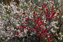 IMG_3808-8.jpg