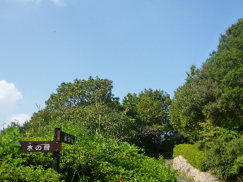 P1130275(1).JPG
