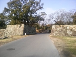 IMG01643.jpg