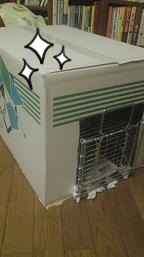 カモフラージュ.jpg