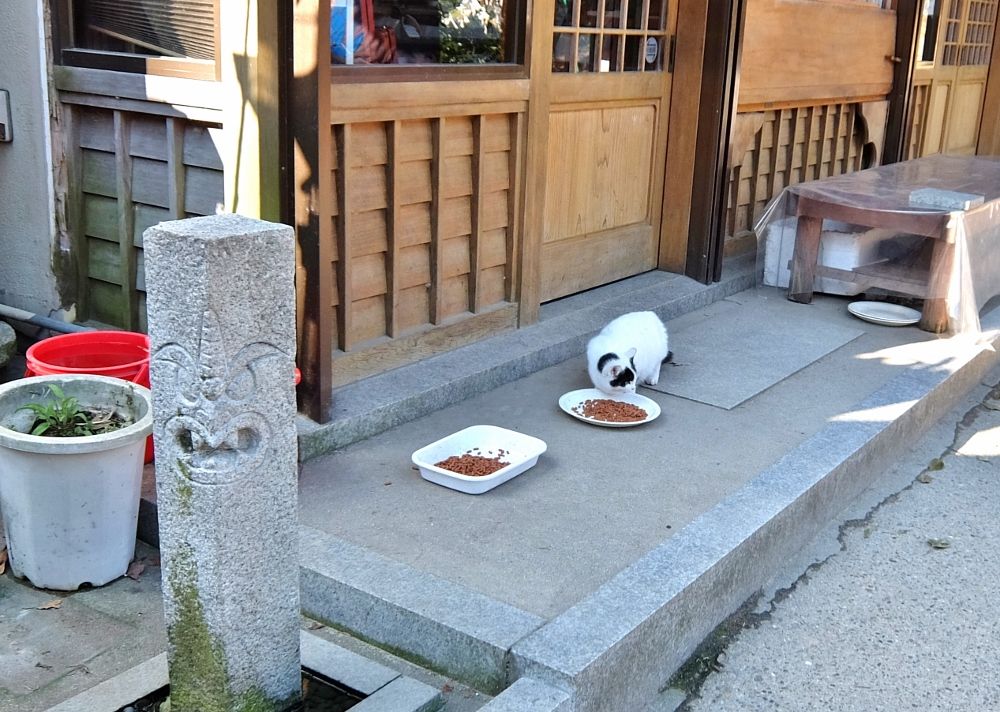 京都 伏見稲荷 裏参道 裏道