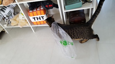 20161025_111718.jpg