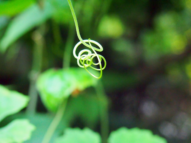 s-p2465.jpg