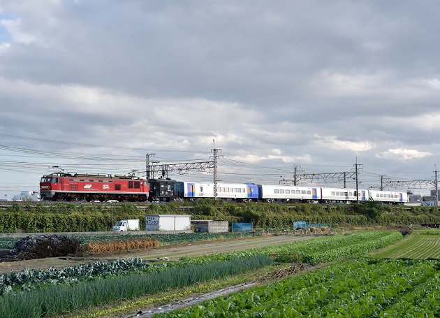 EF510-20 2014.11.03 甲9561レ　2.jpg