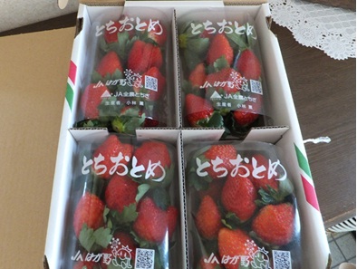 20121127_3.jpg