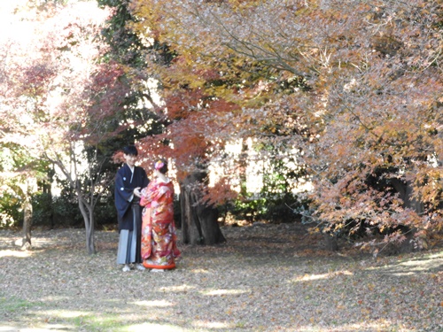 旧芝離宮恩賜庭園