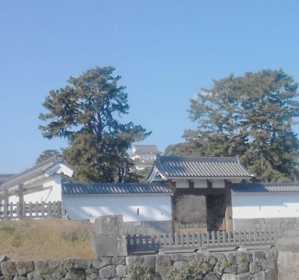 小田原城19.jpg