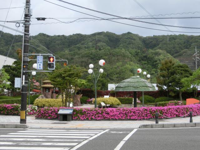 CIMG3274.jpg