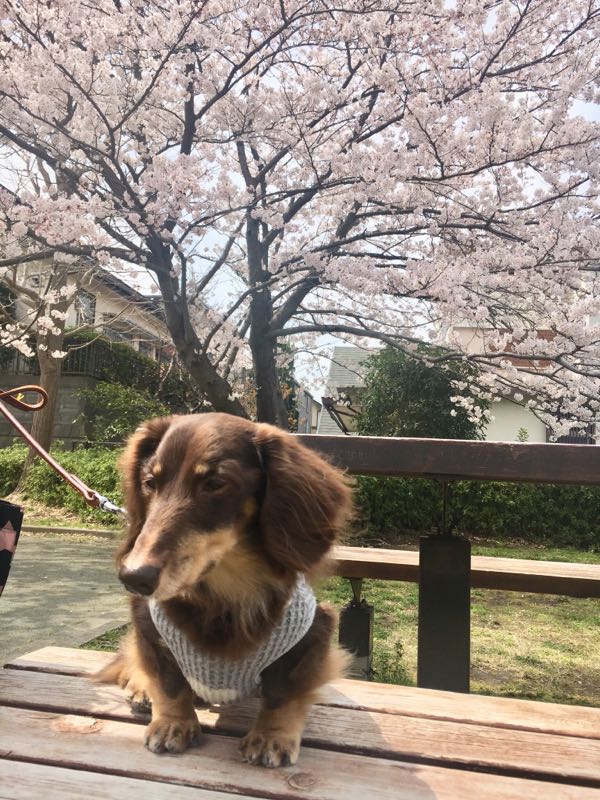rblog-20180506152443-09.jpg