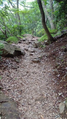 岩場の横