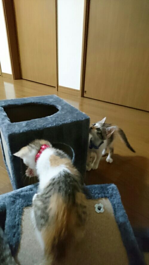 rblog-20170712193712-02.jpg