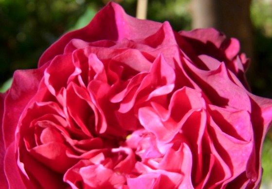 RIMG6581.JPG