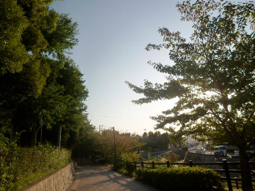 036 (500x375).jpg