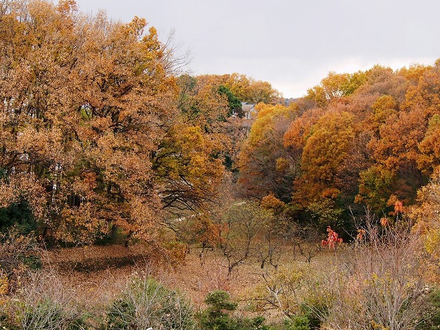 s-p2881.jpg