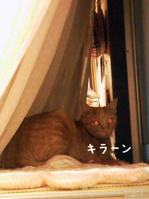 キラーン