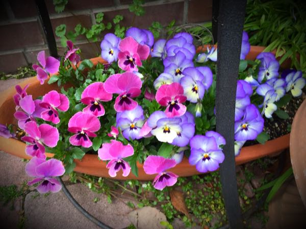 rblog-20160328170424-03.jpg