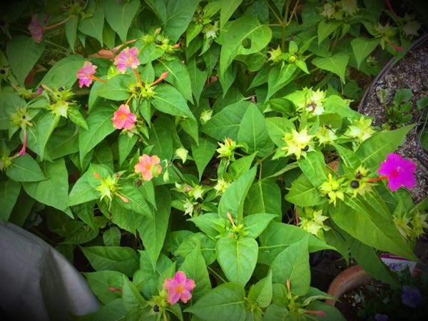 rblog-20151025172217-03.jpg