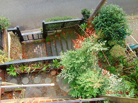 白菜漬けました。 006.jpg