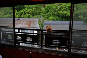 銀山205.jpg