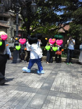 ミッキ.jpg
