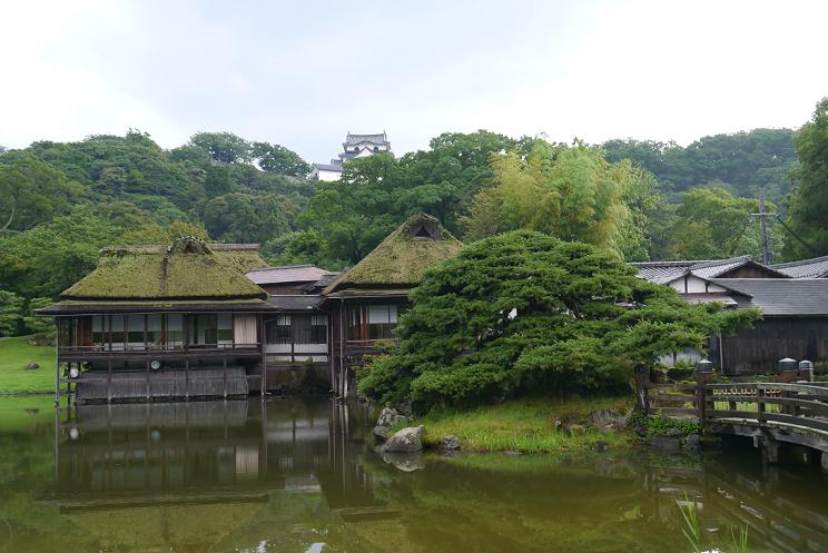 P1000733.JPG