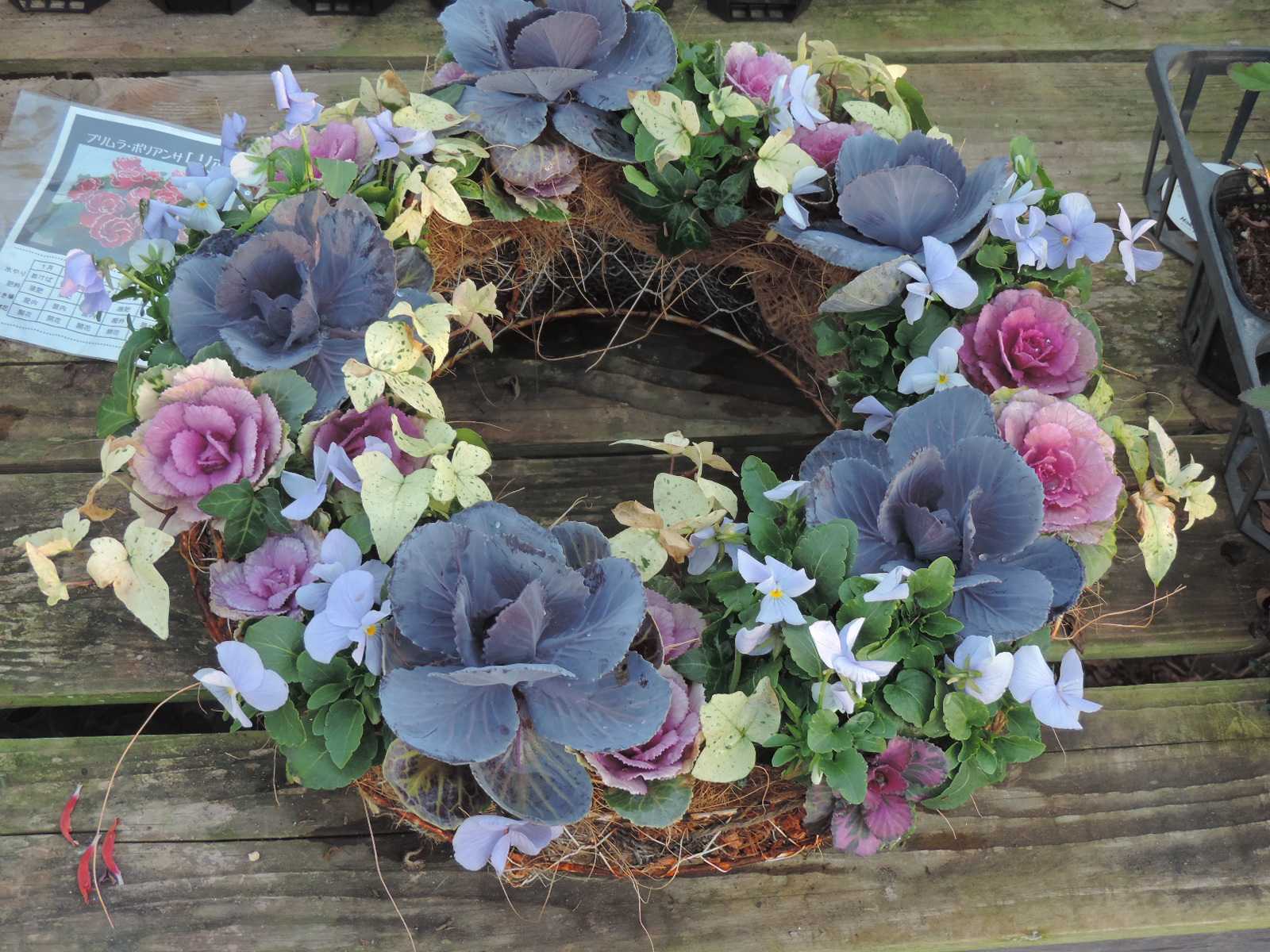 葉牡丹のリース 田舎の花屋日記 楽天ブログ