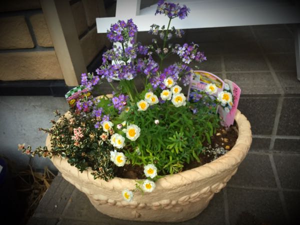 rblog-20160229191548-03.jpg