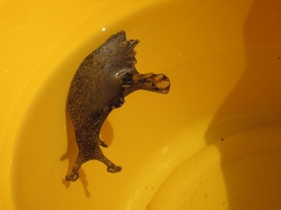 IMG_1895.jpg