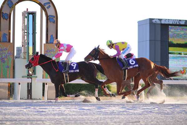 中古】行きはよいよい競馬旅/コスモヒルズ/田名雄児の+aethiopien