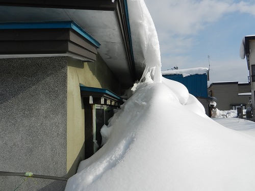DSCN5780.jpg