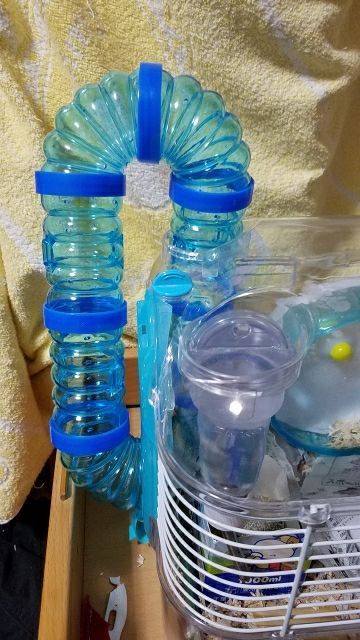 rblog-20170515142152-02.jpg