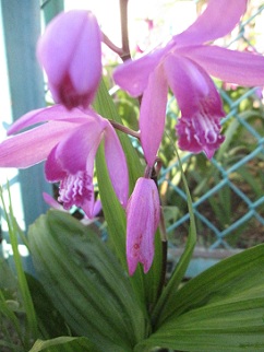 IMG_8605.JPG