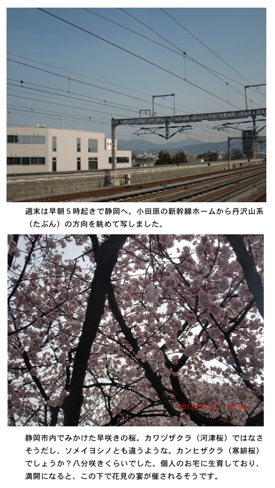 2012.03.18-4.jpg
