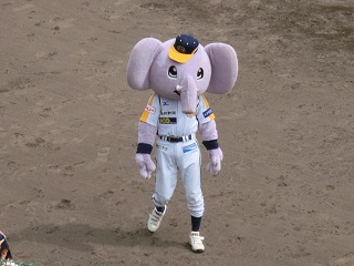 paotaro.jpg