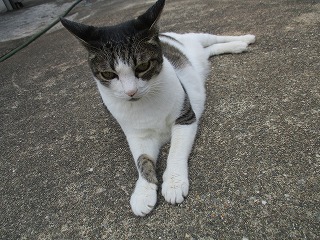 IMG_8114ss.jpg