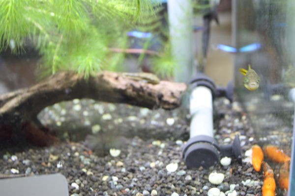 20140926b.JPG