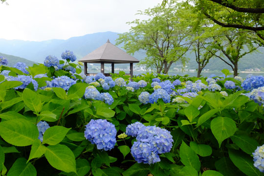 DSCF6033.jpg