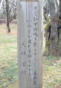 DSCN5463.jpg