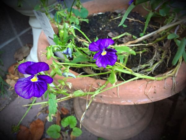 rblog-20160710211216-03.jpg