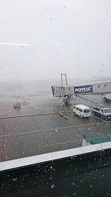 北海道着　普通に雪降ってる