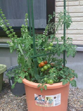 resizeman_20120723000405.jpg