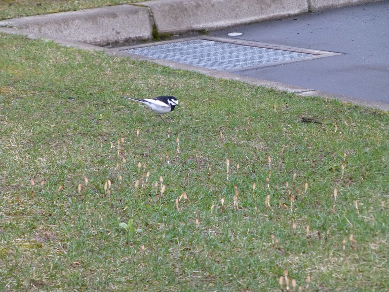 P1140748.jpg